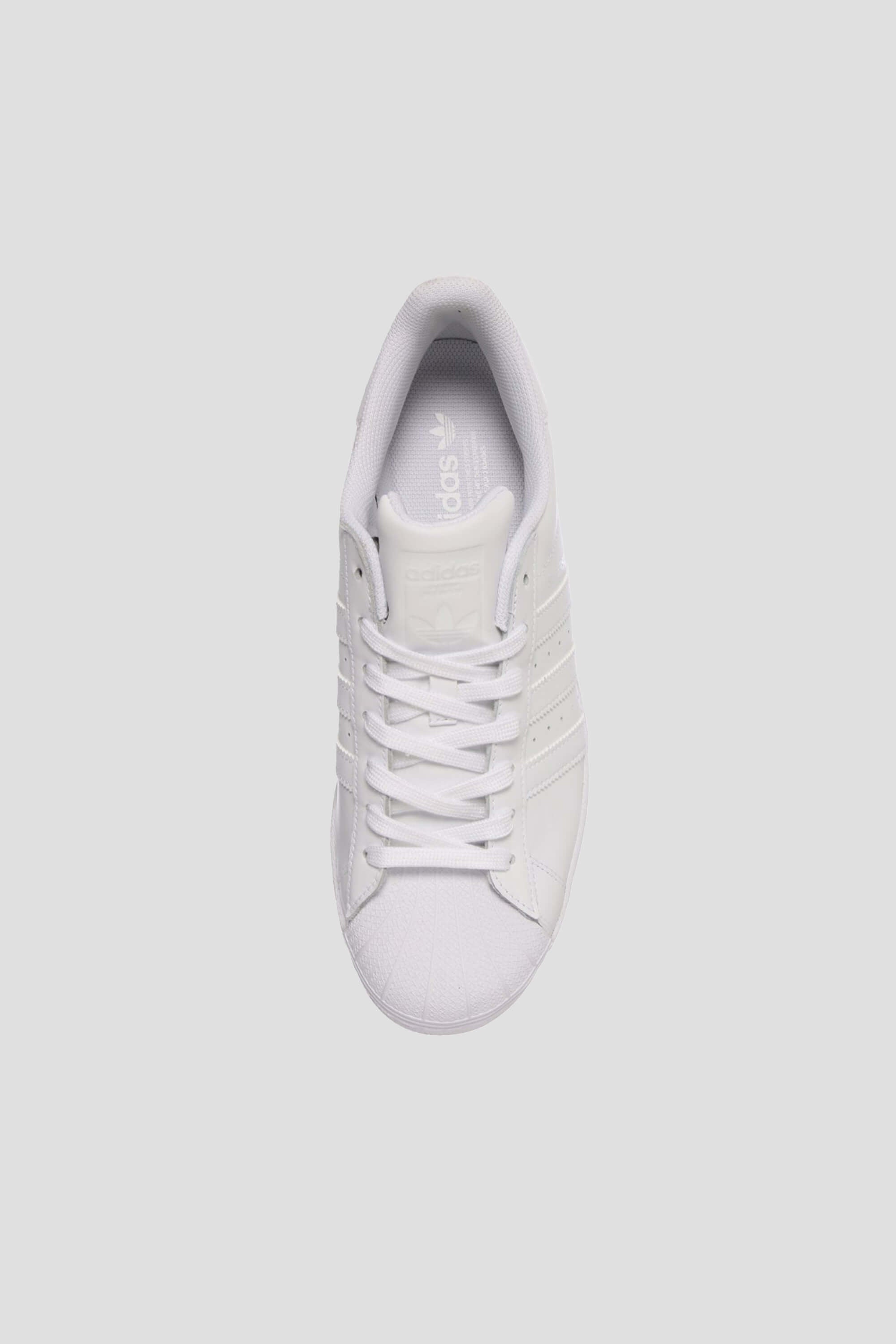 Tenis Superstar White Unisex
